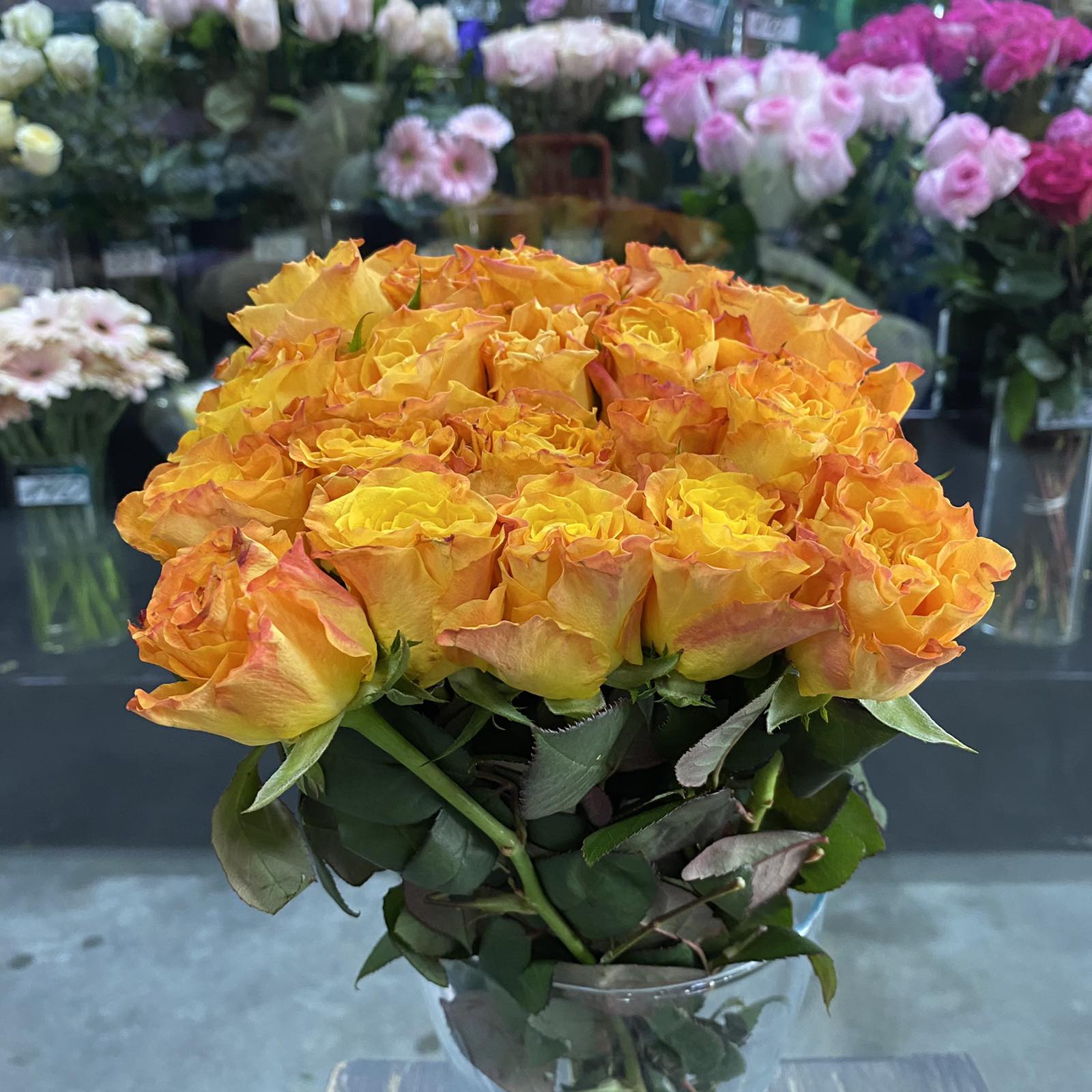Роза Кения оранжевая 35-40 см