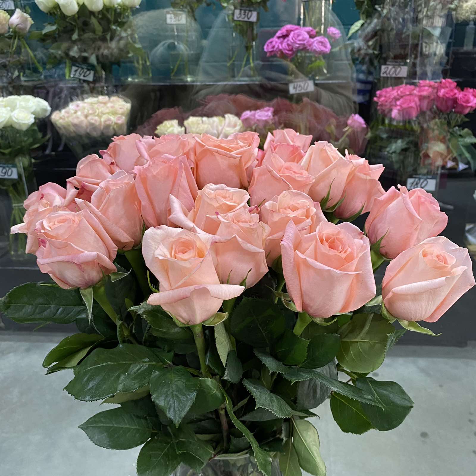 Роза Эквадор персиковая 60 см