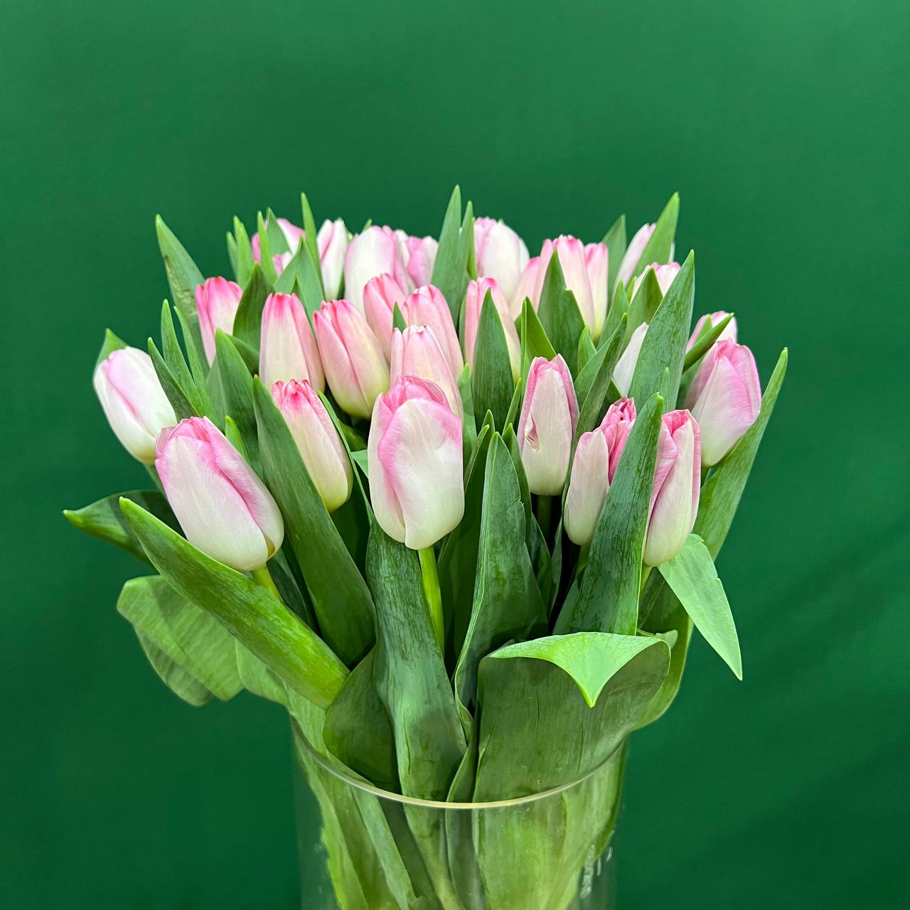 Тюльпаны нежно-розовые