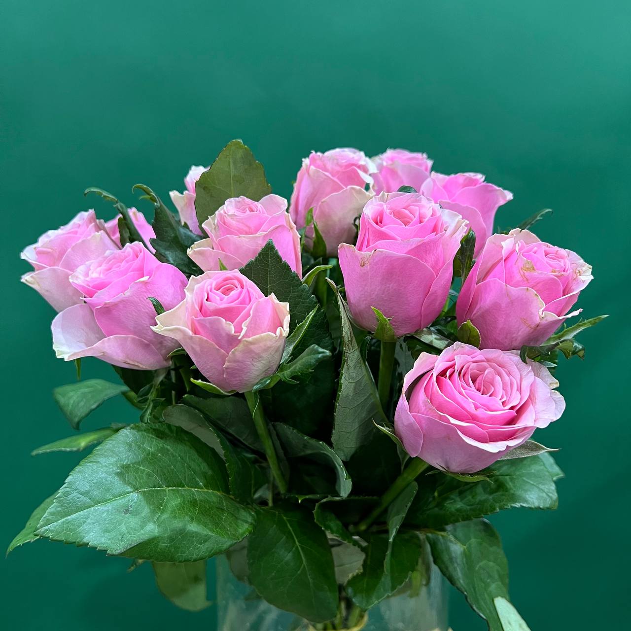 Роза Кения розовая 35 см