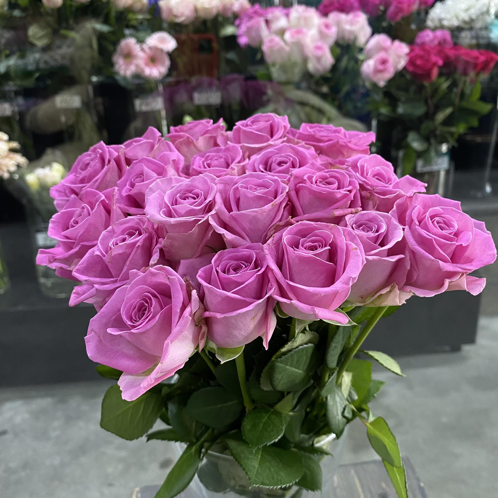 Роза Кения розовая 40 см