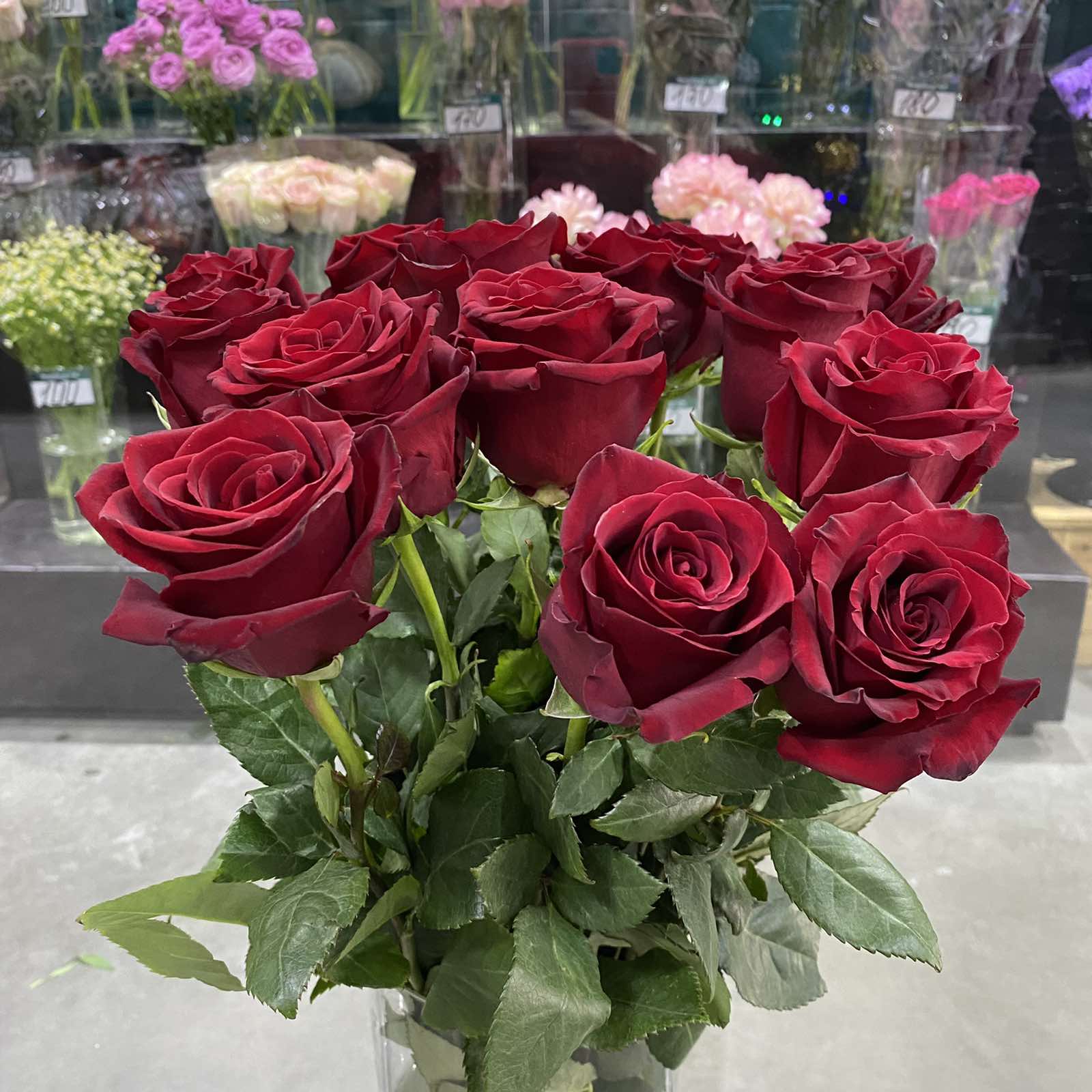 Роза красная 50 см 