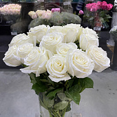 Роза белая 50см