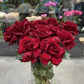 Роза Японская красная 50см