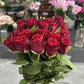 Роза Кения красная 35-40 см